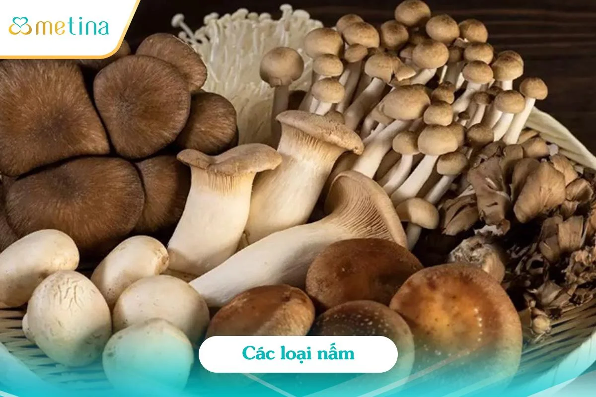Nấm kim châm, nấm bào ngư, nấm linh chi… là sự lựa chọn phù hợp sau nâng cấp ... - Dr. Châu Thanh Phong - Thẩm mỹ 3 vòng